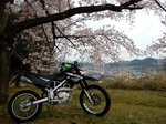 DSCN1931.jpg