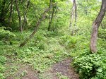 P6050119.jpg