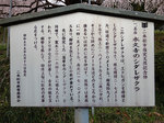 honkyuuji496.jpg