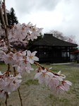 honkyuuji497tw.jpg