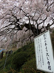 honkyuuji515tw.jpg