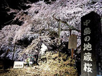 nakajima-625.jpg