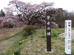 yosimizu549.jpg